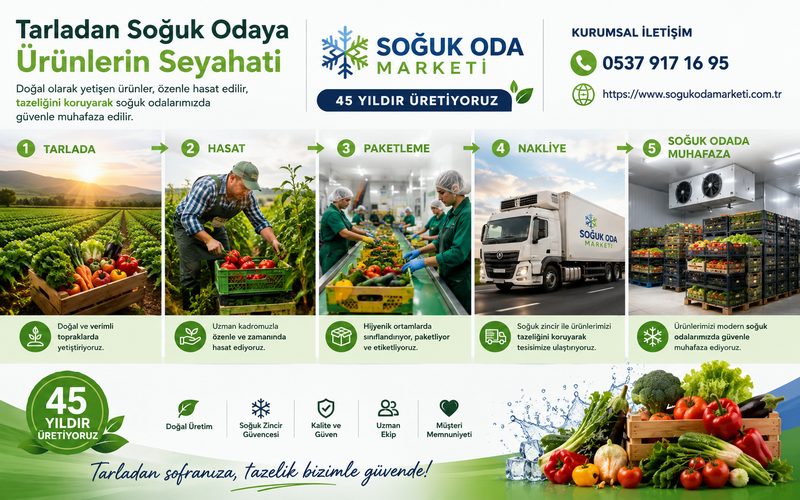 Tarladan Soğuk Odaya Ürünlerin Seyahati