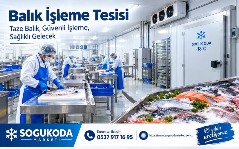 Balık İşleme Tesisi